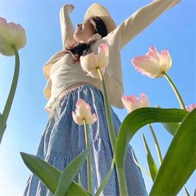 极岛森林第二季